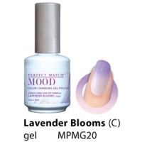 Lavender Blooms MG20