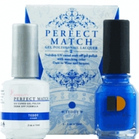 Perfect Match set of Teddy PMS41