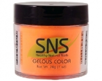 SNS - Orange It's Obvious 265