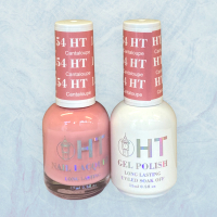 ht 154 gel & polish set